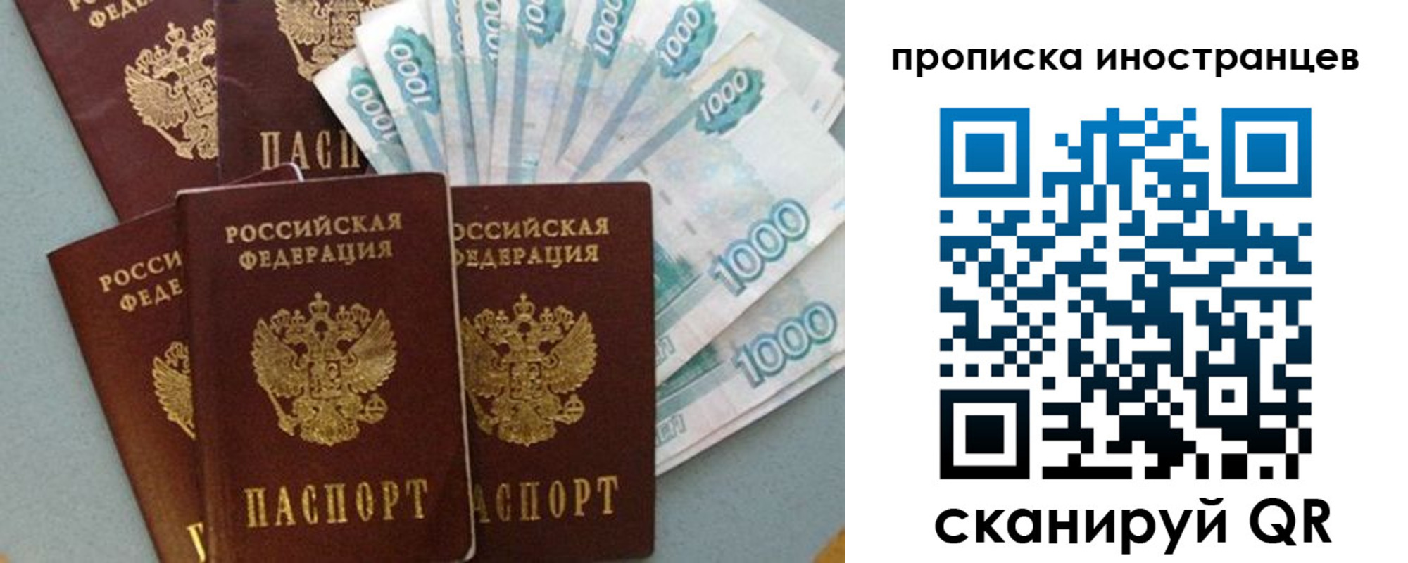 прописка паспорт в Пионерском
