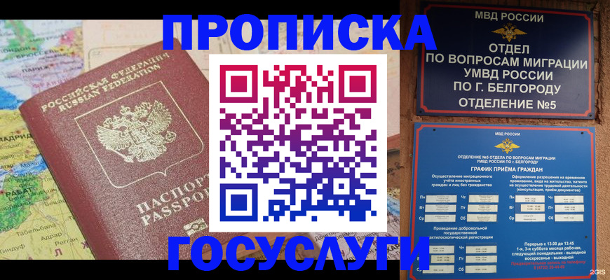 прописка регистрация в Пионерском